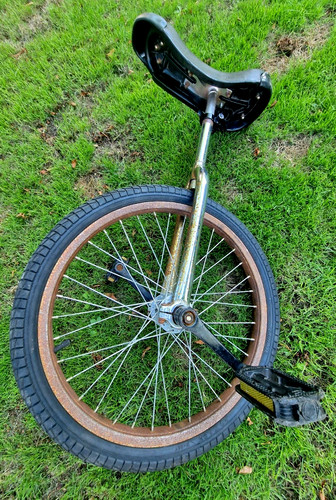 Ornate chrome unicycle mono - chrome,