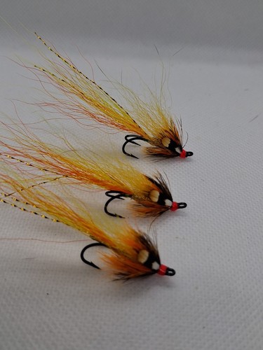 Cascade sunburst salmon - x,