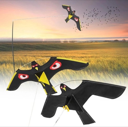 Flying hawk kite garden - hawk,