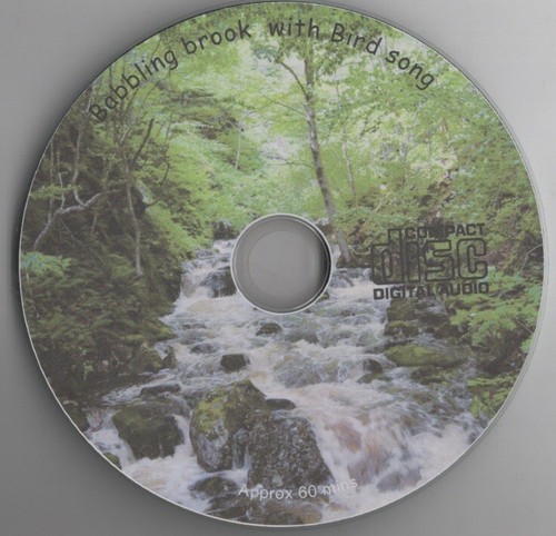Stream flowing birds singing - stream,
