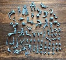 Warhammer Fantasy Warriors of