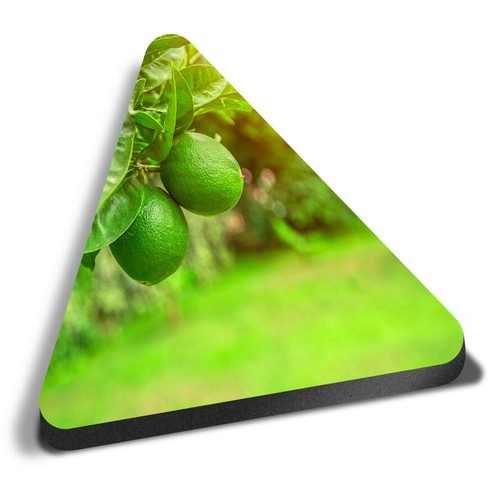 Triangle mdf magnets - magnets, citrus