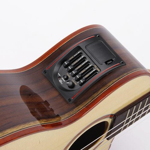 Band acoustic electric - band,