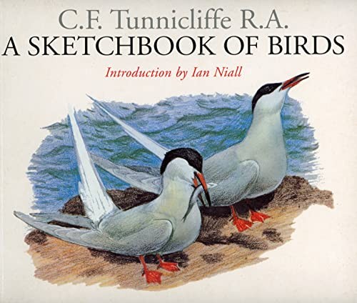 Sketchbook birds c f - of, by