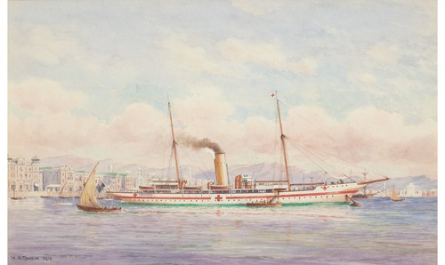 Tompkin hospital ship erin - w,