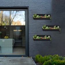 Vertical Garden Living Wall