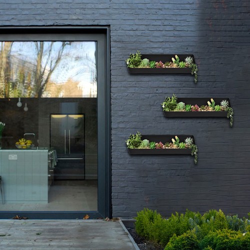 Vertical garden living wall - vertical,