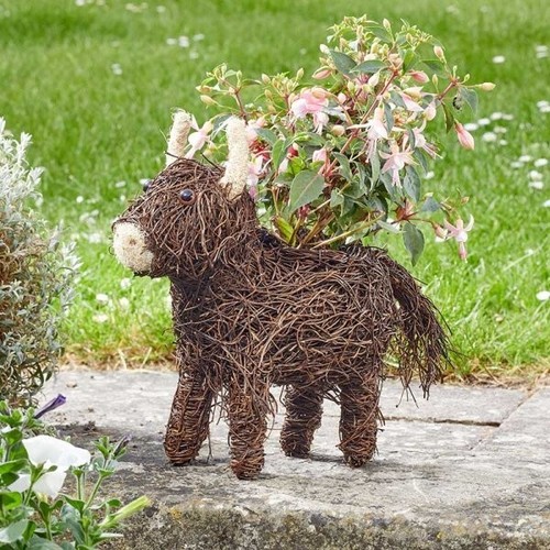 Garden flower planter highland - flower,
