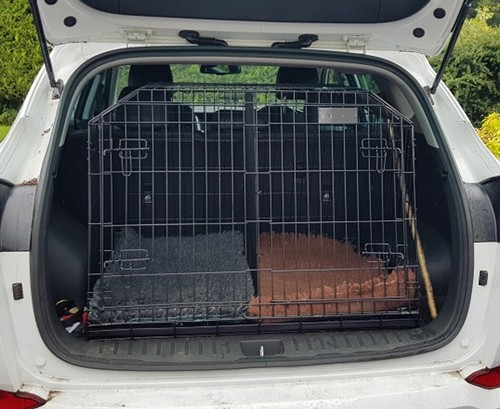 Pet world slopping car puppy - world,
