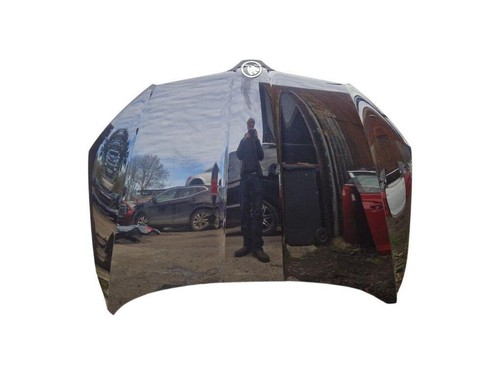 Skoda octavia bonnet paint - bonnet,