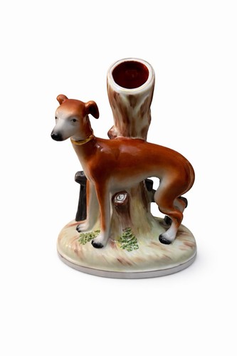 Staffordshire whippet - staffordshire,