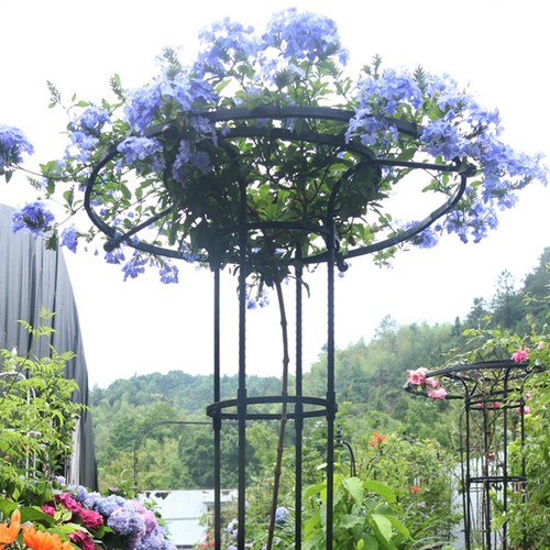 Vertical umbrella trellis - vertical,