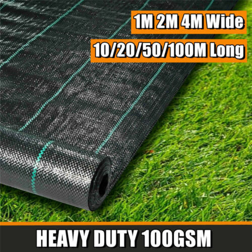 10m 25m 50m - 25m,