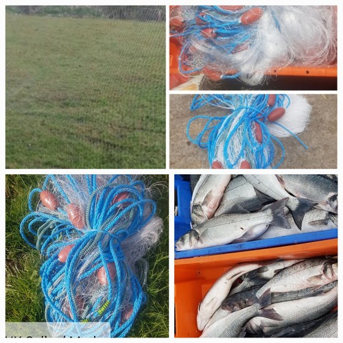 Gill net survival bass - gill, net/survival
