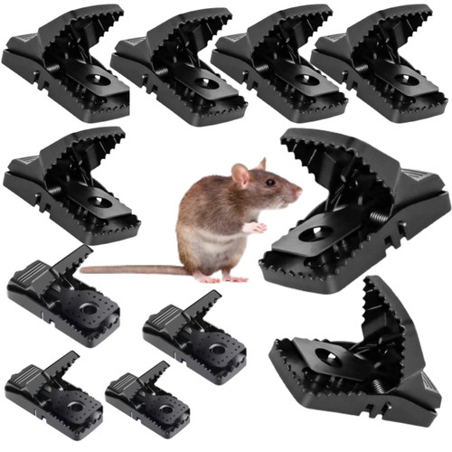 Long rat traps that - long,