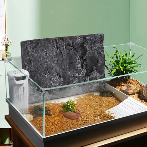 Reptile background for - ,