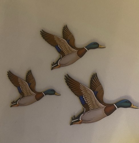 Set flying ducks birds - set,