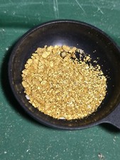 paydirt gold guaranteed 0.50g