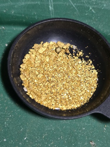 Paydirt gold guaranteed - paydirt,