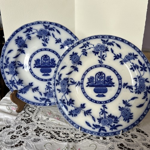 2ax minton dinner plate - minton,