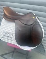 17.5 GFS Fieldhouse Brown Jump