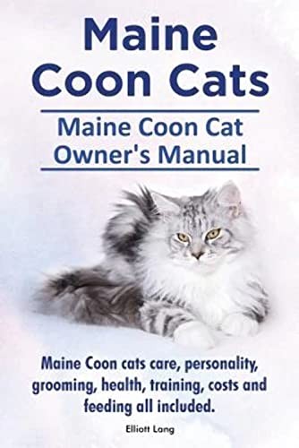 Maine coon cats - cats.,