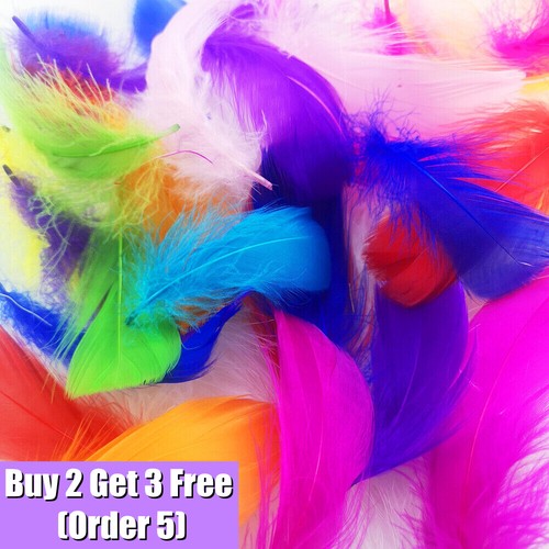 100 pcs natural goose - pcs,