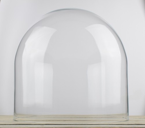 Large glass dome display - dome,