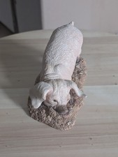 Paw prints Pig Stretching