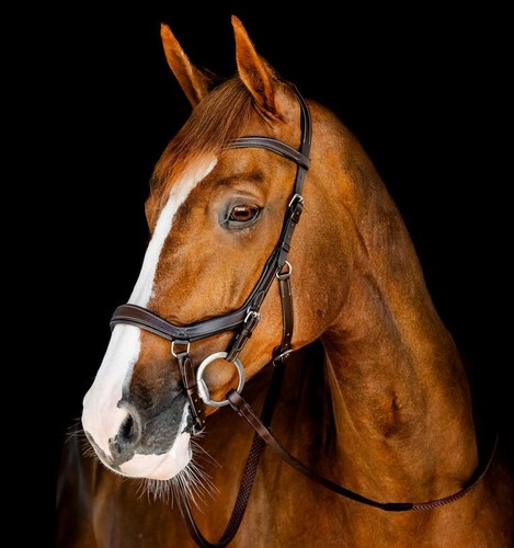 Horseware micklem competition - micklem,