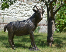 billy goat garden ornament / statue ... cast aluminium