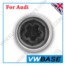 for Audi Security Master