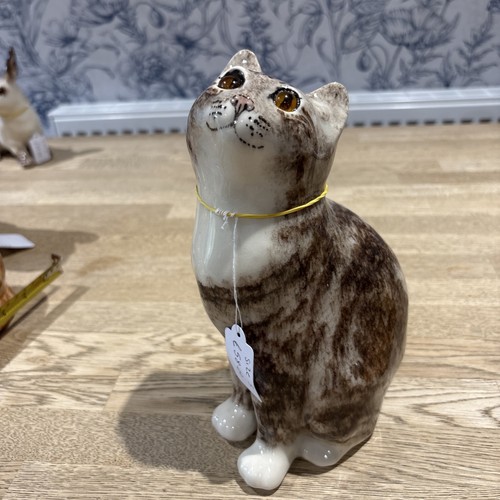 Winstanley cat size - winstanley,
