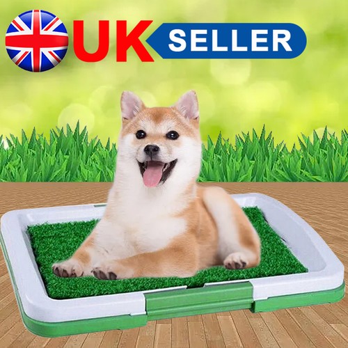 Dog toilet mat indoor - dog,