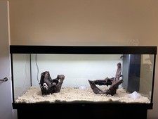 Juwel Rio 450 Whole Setup with