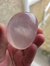 Transparent Girasol Rose