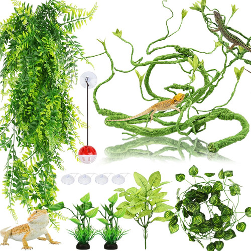 Bearded dragon reptile vines - bearded,