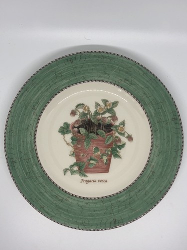 Vtg wedgewood sarah garden - wedgewood, sarah’s