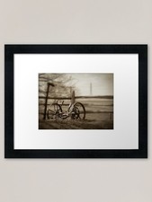 Antique Lawn Mower Framed Art