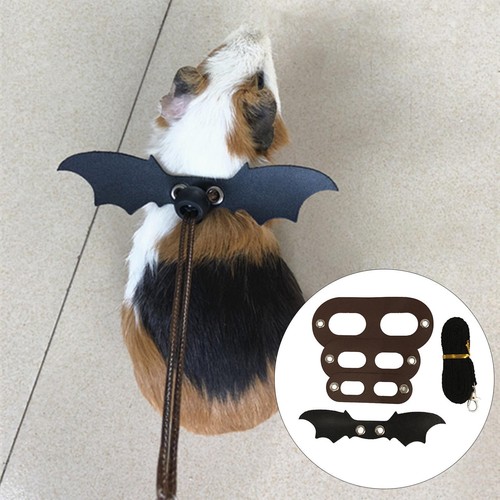 Adjustable lizard leash size - adjustable,