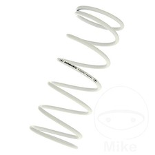 Naraku Variator Spring