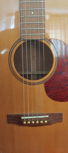 Cort acoustic guitar - cort,