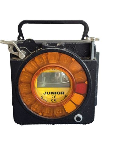 Vintage pigeon racing clock - pigeon,