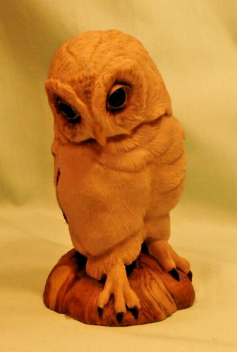 Teviotdale young owl - teviotdale, by