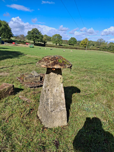 Antique staddle stone large - antique,