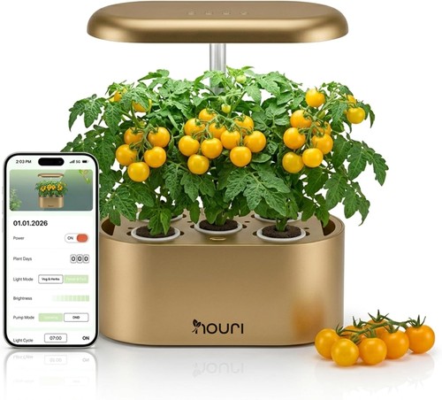 Pod hydroponics growing - 5,