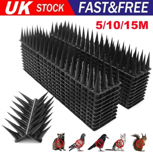 10m 15m pigeon bird - 10m, spikes