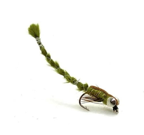 Living damsel nymph flies - living,
