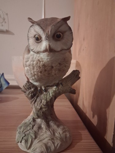 Aynsley scops owl 1975 - aynsley,
