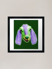Billy Goat with Purple Ears